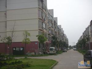 京东小区G区 南北通透,采光好 装修好,环镜优美 视野好,诚心出售