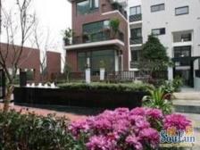 电梯房,满五 无抵押 新上房源