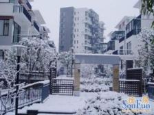 品质小区 318国道景色优美 视野采光美丽