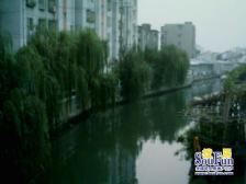 自住精装,带城振华,拎包入住,院子采光好