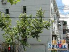 一梯三户,主卧朝南,南北通透,闹中取静,近商圈,中式风格,装修齐全,刚需好房