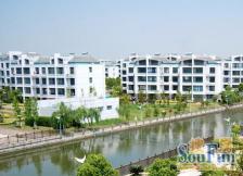 丽水湾 3室1厅 南