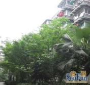 交大广厦小区3室1厅东南西北