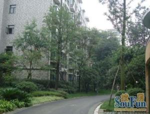 金沙愉景一期 3室1厅 西南