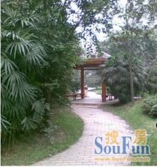 香槟花园3室2厅东南