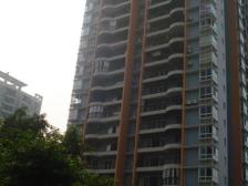 鱼洞 皓月港湾二房40万