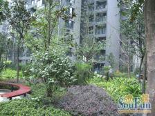 沙滨路 华宇秋水长天二房65万