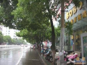 南京西路水利局宿舍南北通透,采光好近地铁视野好,诚心出售