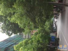 贤士二路 南北通透,采光好 装修好,环镜优美 视野好,诚心出售