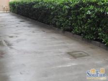 华山绿地旁 热门小区 小户型 全明