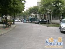 红柿苑 3室1厅 南