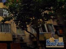 大天井,诚意出售,满五,顶配小三房