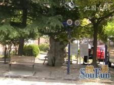 大天井,诚意出售,满五,顶配小三房