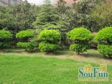 地铁一号线大四房,一梯一户,精装修,业主诚意出售