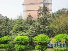 华馨苑5室南朝向798.00万元/套出售