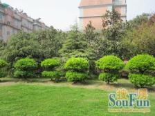 中原好房推荐《大4房心动价格》拎包入住地铁近急售