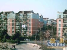 中原推荐《正宗复试送大露台》地铁家门口诚意出售