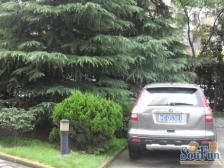 老静安烫金地段,阳光明媚,厨卫全明,业主诚意出售