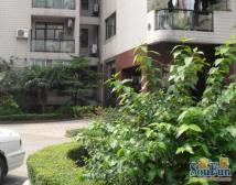 老静安烫金地段,阳光明媚,厨卫全明,业主诚意出售