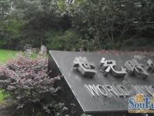 世纪时空大厦 1室1厅 南