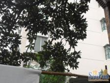 陶安小区2室南朝向510.00万元/套出售