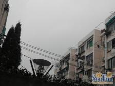 陶安小区 2室1厅1卫 南