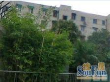 平塘人家 2室2厅 南