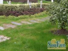 满五年,诚意出售,看房方便,仅有的一套