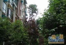 锦绣华都东区 3室2厅 东南