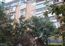 锦绣华都东区 3室1厅 南