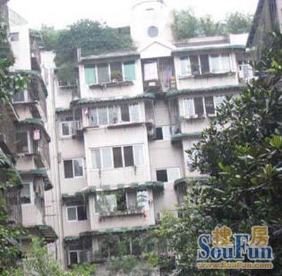 城北小区实景图