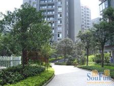 沙滨路一室一厅!看东南朝向!安静采光好!