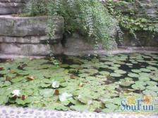 急售房,捡漏房,中装5房欢迎直接来电