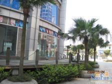 人民广场 AC世纪城二房35万