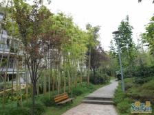 城北新区 北温泉九号三房108万