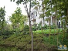 城北新区 北温泉九号四房