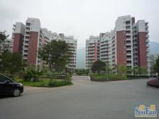 北泉花园精装修 房子户型方正 无浪费空间 视野好