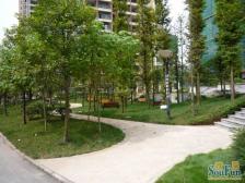 嘉茵苑 2室1厅 南