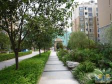 嘉茵苑 3室2厅 南 北