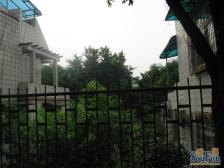 康居苑 1室1厅 南 东南