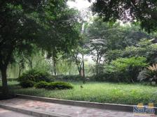 凤鸣山环线旁正规一房 朝南 近商圈 配套成熟