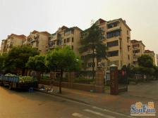 闻喜路251弄 1室1厅 南