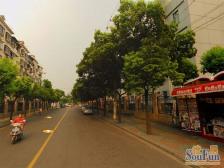 彭浦·闻喜路251弄·1室·1厅