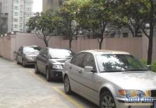 镇宁路·兴星公寓·3室·2厅