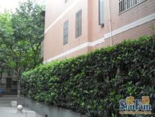 品质小区,环境优美,诚意出售,精装好房