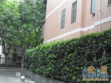 国宾道 品质高 管理好 低密度小区