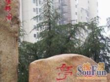 近地铁,电梯房中间楼层,必看好房