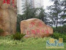 近地铁 无抵押,电梯房,新上房源