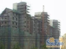 电梯房+近地铁大两室+临墅区+楼层位置好+采光充足