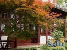 近地铁 无抵押,电梯房,新上房源